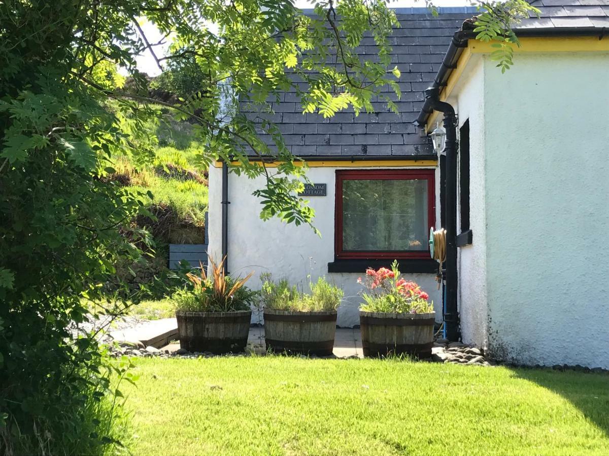 Blossom Cottage Lonmore Екстериор снимка